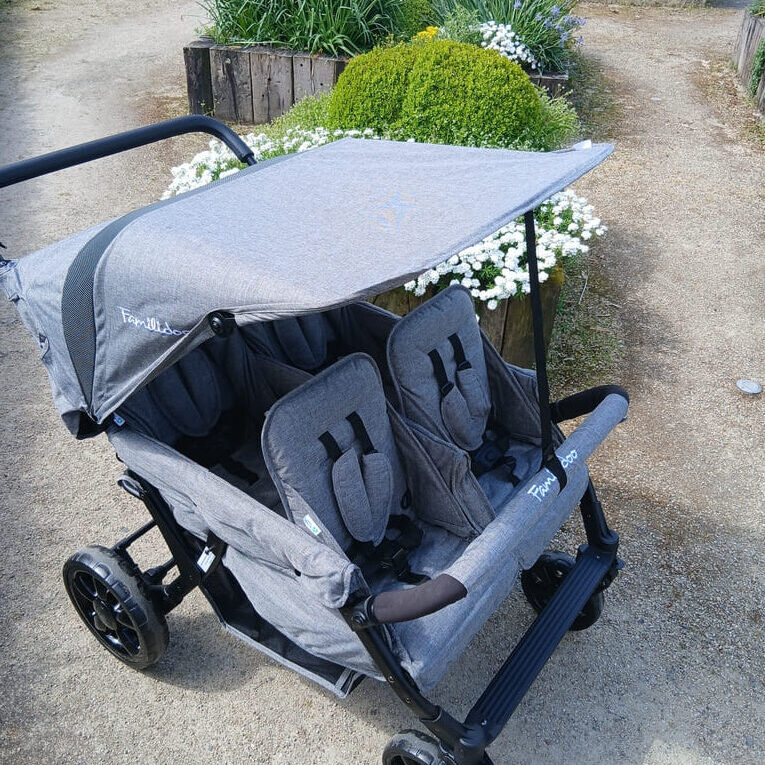 Location poussette Familidoo 4 places